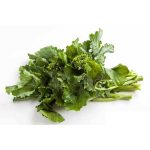 Broccoli di rape